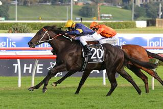 Brutal (NZ) Claims the G1 Doncaster at Royal Randwick on Saturday. 